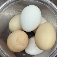 تخم مرغ لری محلی