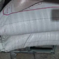 گندم ساجی بوجاری شده