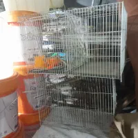 ۳ عدد قفس قناری