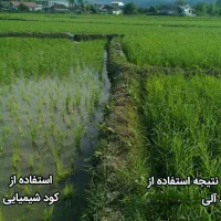 کود ارگانیک مخصوص افزایش محصول و رشد سریع|خدمات باغبانی و درختکاری|مشهد, کلاهدوز|دیوار
