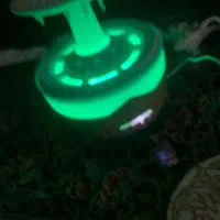 چراغ خواب قارچی بارانی