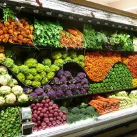 کارگر و سرکارگر میوه فروش