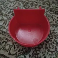 کاسه پرنده