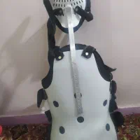 کمربند طبعی