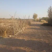 فروش باغچه در پیشک دو ماهدشت|فروش زمین و ملک کلنگی|ماهدشت, |دیوار