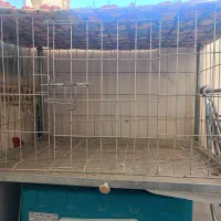 قفس جفتگاه کبوتر