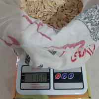 تخمه طالبی برای کاشت