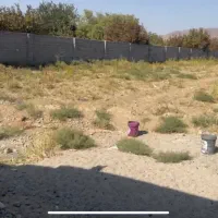 زمین کشاورزی صنعتی|فروش زمین و ملک کلنگی|فشاپویه, |دیوار