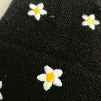 شال کلاه|لباس|اسفراین, |دیوار