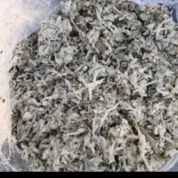 تفاله چغند ر در حد خشک حدود 20درصد رطوبت.|لوازم جانبی حیوانات|خانمیرزا, |دیوار