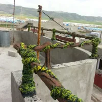 سیمان کاری|خدمات پیشه و مهارت|مریوان, |دیوار