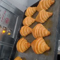 نیرو آقا جهت کار قنادی