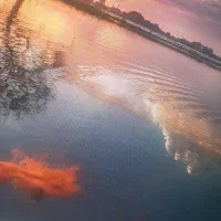 نیرو دفتر بیمه