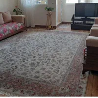 سوییت سویت سوئیت شقه