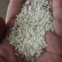 فروش برنج علی کاظمی