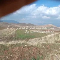 یک لنگ یافردزمین کشاورزی درعمارت شهرستان صحنه|فروش دفتر صنعتی، کشاورزی، تجاری|بیستون, |دیوار