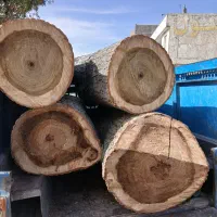 خرید چوب سقفی