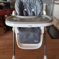 کالسکه کریر بچه