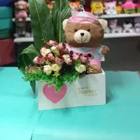 پک کادوزیبا