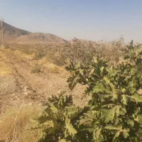 خانه  و باغ در روستا|فروش خانه و ویلا|شیراز, دباغ خانه|دیوار