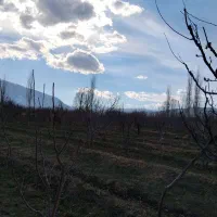 باغچه|فروش زمین و ملک کلنگی|انزل, |دیوار