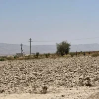 اجاره ی زمین ۱۹هکتاری چاه برقی|اجارهٔ دفتر صنعتی، کشاورزی، تجاری|بندرعباس, |دیوار