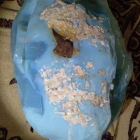 سنگ فیروزه ای  ۲۲ کیلو یه تکه راف کلکسیونی|جواهرات|تهران, آرارات|دیوار