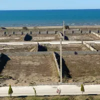 لاین یک دریا زیباکنار سنددار پروانه۳۵۵|فروش زمین و ملک کلنگی|رشت, کاکتوس|دیوار