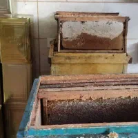 عسل وموم شان کوهی اعلا کرمانشاه