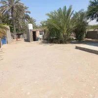 زمین 800متری دهنو|فروش زمین و ملک کلنگی|قلعه قاضی, |دیوار