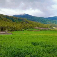 زمین-ویلا-باغ