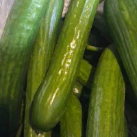 فروش صیفی جات و میوه