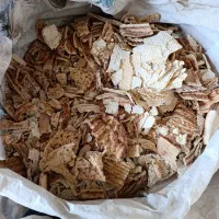 فروش نان خشک