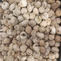 فروش انجیر|خوردنی و آشامیدنی|شیراز, حافظیه|دیوار