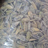 تخمه خارجی|عمدهفروشی|کرج, کارخانه قند|دیوار