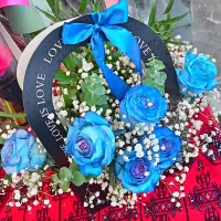 گل رز شاخه|گل و گیاه طبیعی|بیرجند, |دیوار