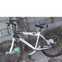 دوچرخه ویوا