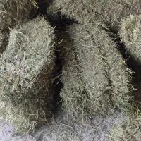 یونجه|لوازم جانبی حیوانات|اسدآباد, |دیوار