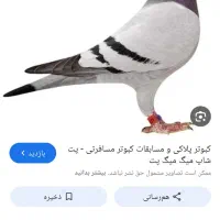 پلاکی گم شده