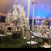 صندلی تالاری مهتاب