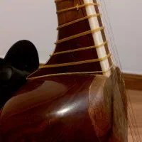 تار داوود علیاری|سازهای سنتی|تهران, پونک|دیوار