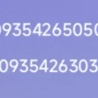 دوعددسیمکارت دائمی ایرانسل رند