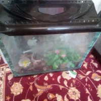 تعدادی وسائل نو وکارکرده