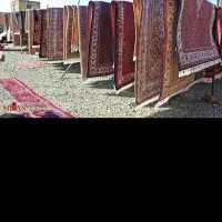 قالی شویی سلیمی