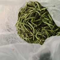لوبیا سبز