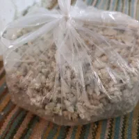 شیره کما|گل و گیاه طبیعی|بیرجند, |دیوار
