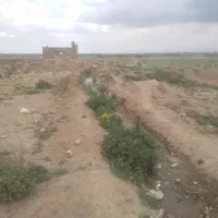 زمین-باغی