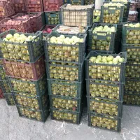 فروش سیب درجه دو