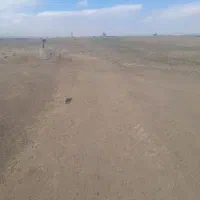 زمین کشاورزی ۸ هزار متر ۱۰۰متر حاشیه|فروش دفتر صنعتی، کشاورزی، تجاری|قوچان, |دیوار