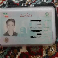 کارت ملی گم شده سعید ابوالحسنی